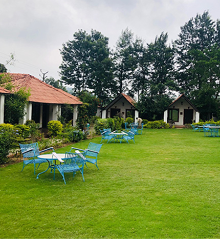 Comforts & Amenities